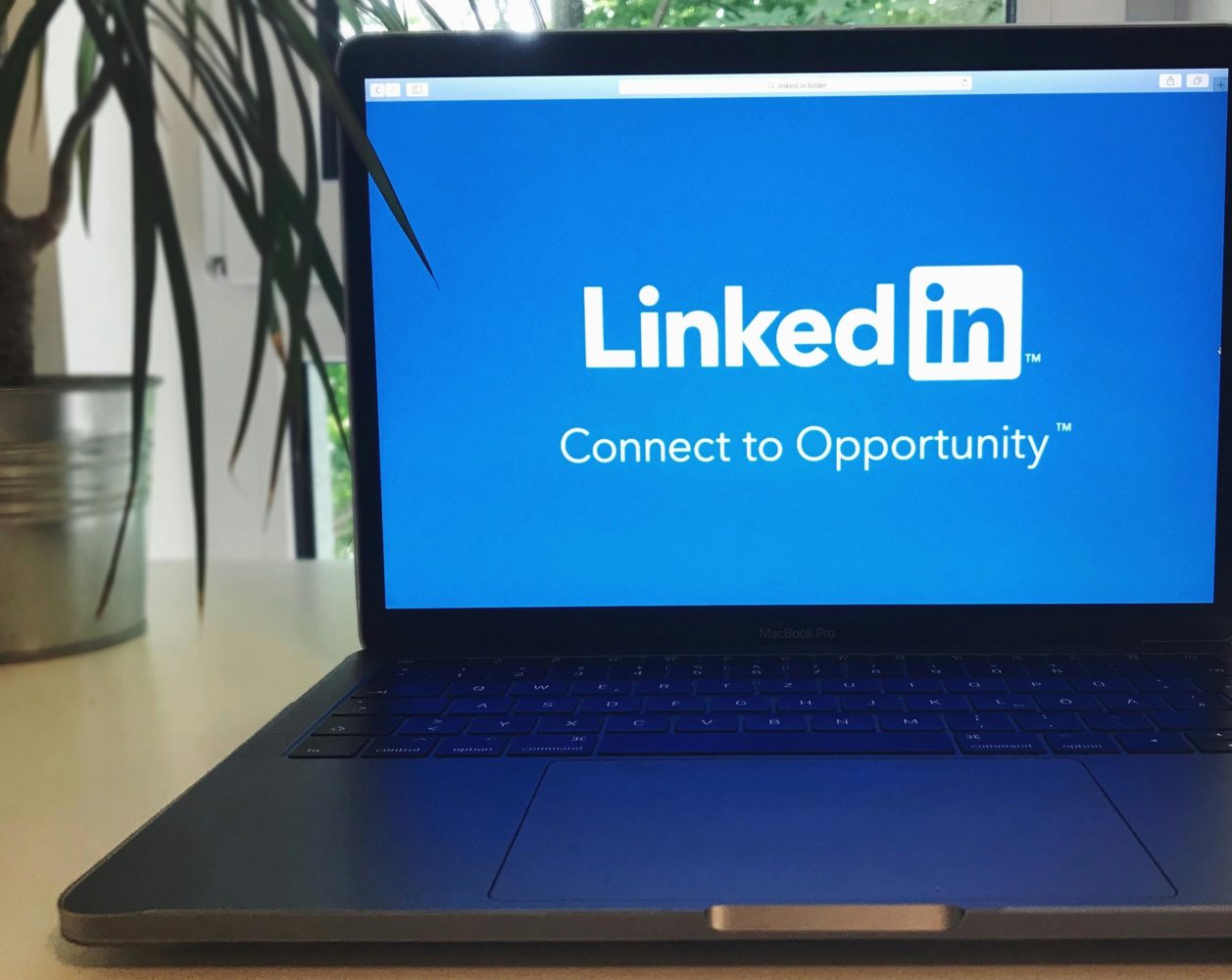 ProElevate – Phase 01: LinkedIn Optimization